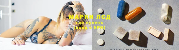гидра Алексин