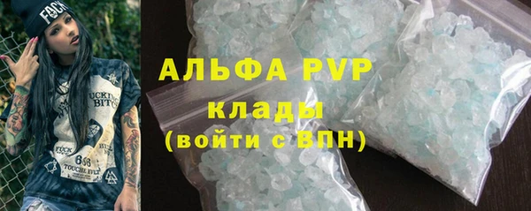 гидра Алексин