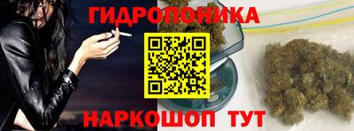 шишки Гусь-Хрустальный