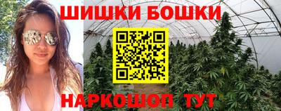 шишки Гусь-Хрустальный