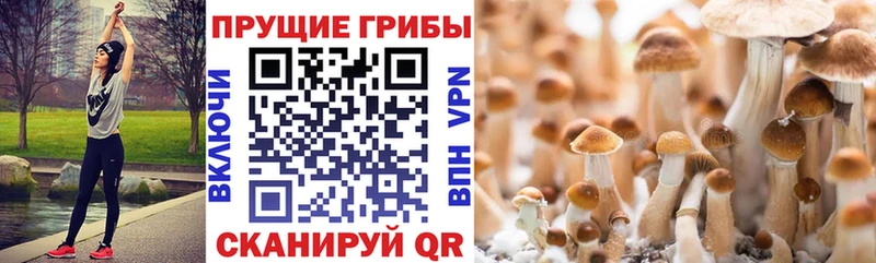 Галлюциногенные грибы мухоморы Нарткала