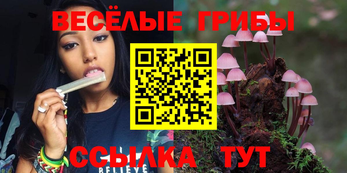 Галлюциногенные грибы мухоморы Нарткала